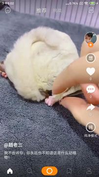 高手
